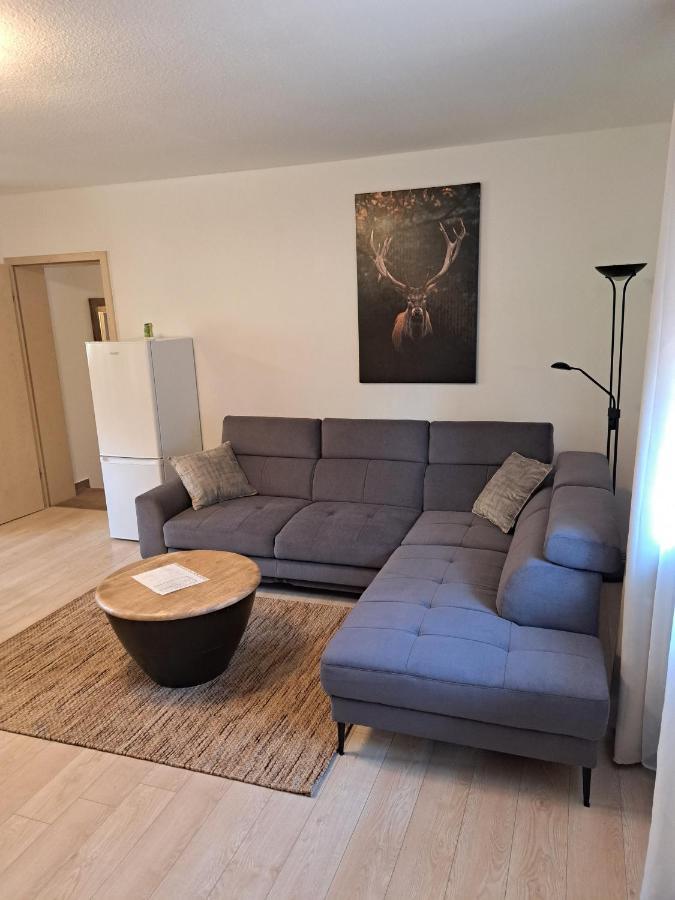Appartement Hof Helmenhube 2 à Gammelsbach Extérieur photo